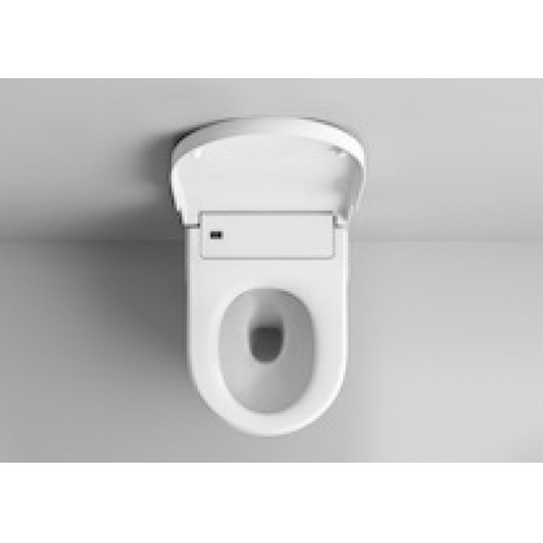 Wc japonais roca