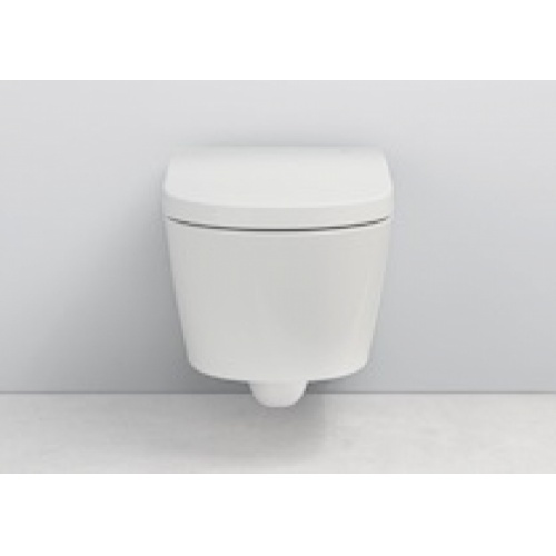 Wc japonais hot sale roca