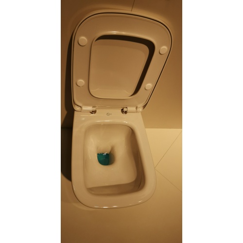 Pack WC GEBERIT UP320 + Cuvette KHEOPS Aquablade + Plaque Chromé Brillant** IMG_20190312_122704