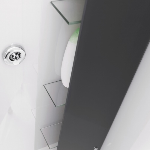 Cabine HORIZON Thermostatique 110x81 - Perle noire - Porte pivotante Horizon - Etageres