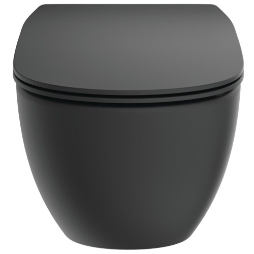 Cuvette wc noir mat online