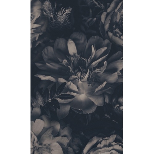 Panneau Mural décoratif KINEWALL DESIGN Floral - L100xH202 cm Motif Floral Panneau Mural décoratif KINEWALL DESIGN Floral - L100xH202 cm Motif Floral