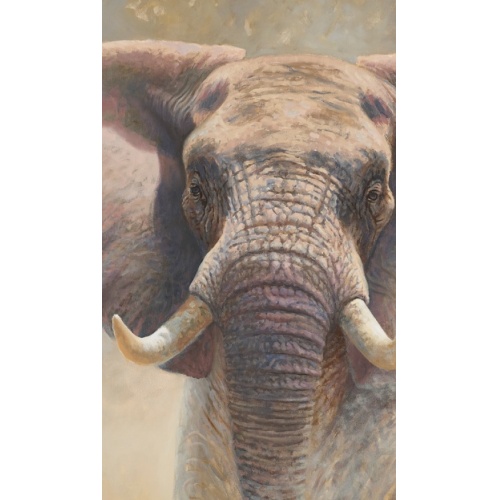 Panneau mural EasyStyle HÜPPE - Elephant 1500x2550mm