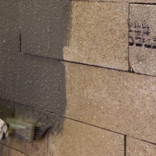 Primaire d'accrochage SikaLatex 360 Blanc - 2L sikalatex-360_581149_2 Primaire d'accrochage SikaLatex 360 Blanc - 2L sikalatex-360_581149_2