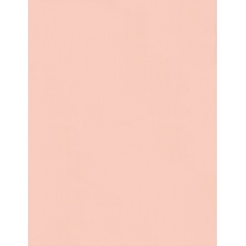 Panneau mural décoratif - Décofast (Collection Capsule Vallon des Auffes) Rose poudre