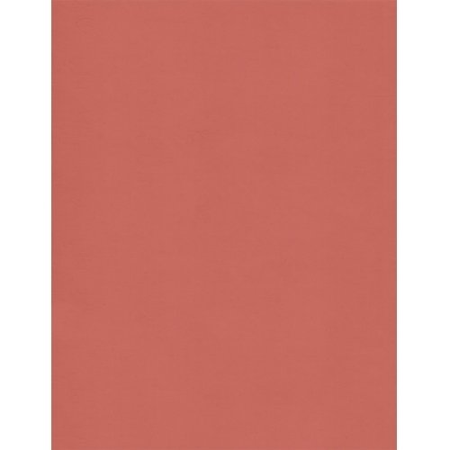 Panneau mural décoratif - Décofast (Collection Capsule Vallon des Auffes) Terre cuite