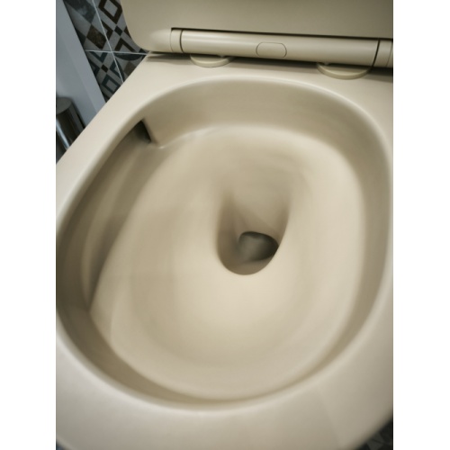 Cuvette suspendue sans bride KELOS Flush Beige Mat avec abattant IMG_20250925_115242 Cuvette suspendue sans bride KELOS Flush Beige Mat avec abattant IMG_20250925_115242