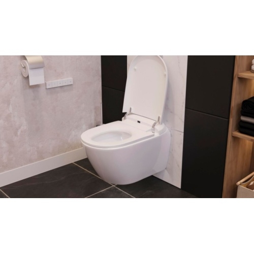 Cuvette WC Lavant Suspendu SANIWASH sans bride Saniwash WC lavant_7 Cuvette WC Lavant Suspendu SANIWASH sans bride Saniwash WC lavant_7