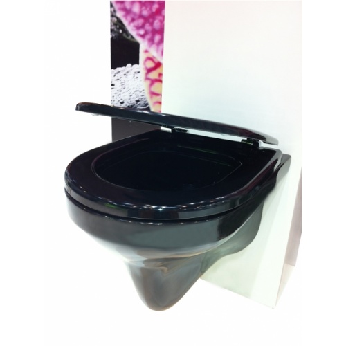 Cuvette suspendue en porcelaine noire REGIPLAST Photo3 2 Cuvette suspendue en porcelaine noire REGIPLAST Photo3 2