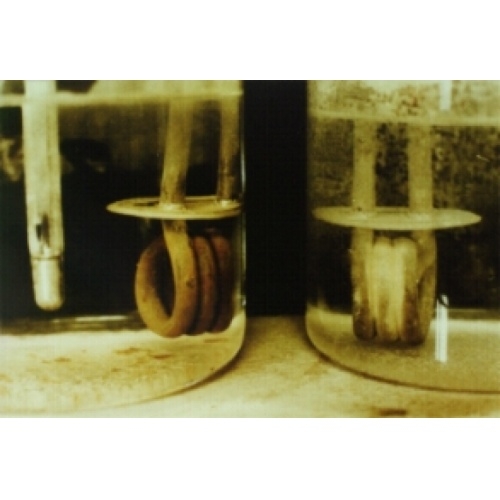 Anti-calcaire électronique D-CALC Plus (4-5 personnes maxi) Crbst gembloux 202 75 20dpi 20 Anti-calcaire électronique D-CALC Plus (4-5 personnes maxi) Crbst gembloux 202 75 20dpi 20