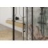  Paroi porte pivotante SMART DESIGN P+F sans seuil - Noir - Transparent - 170cm Zoom poignee noire