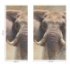 Panneau mural EasyStyle HÜPPE - Elephant 1500x2550mm Elephant Dimensions
