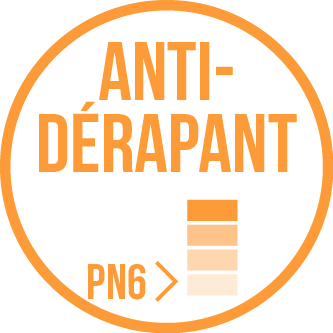 Antidérapant PN6 Antidérapant PN6 vignette sanitaire.fr