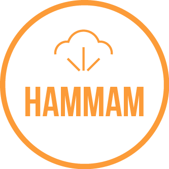 avec-hammam avec-hammam vignette sanitaire.fr